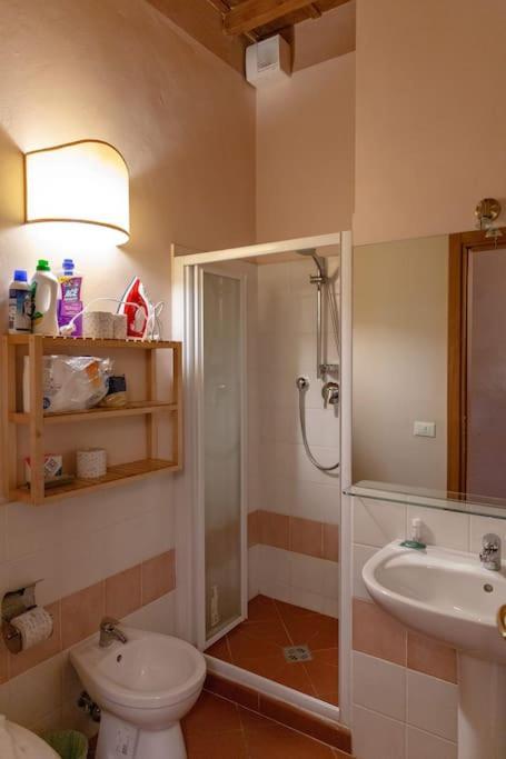 Apartamento In San Frediano Area